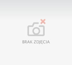 ⠀